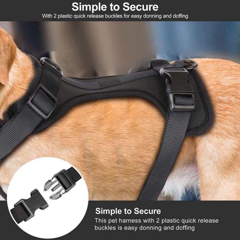 Comfortable and Cushioned No Pull Dog Harness with Fashionable Colors
