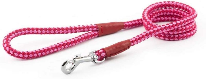 Flexible Lightweight Leather Proof Easy to Clean Durable Super Nylon Dog Lead