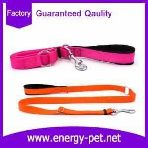Factory Wholesale Top Quality Dog Leash