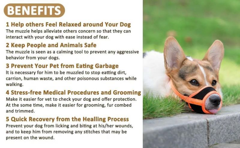 Breathable Mesh Dog Muzzle Anti Bark Mouth Mask Pet Mouth Cover