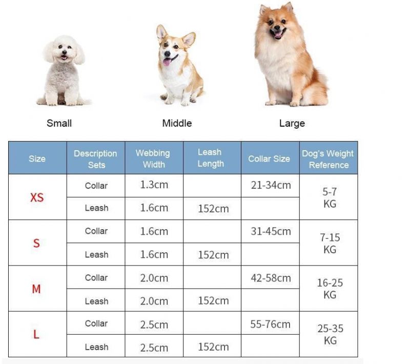 Wholesale Minimum Order Print Adjustable Nylon Dog Collar with Leash