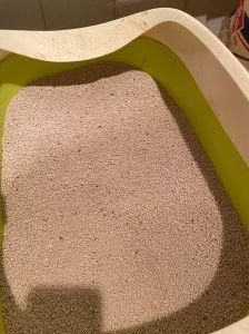 Bentonite Cat Litter &Silica Gel Cat Litter &Clean Cat Litter