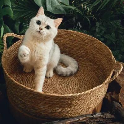 Sohpety Custom Summer Cooling New Design Cane Rattan House Pet Cat Wicker Rattan Dog Bed