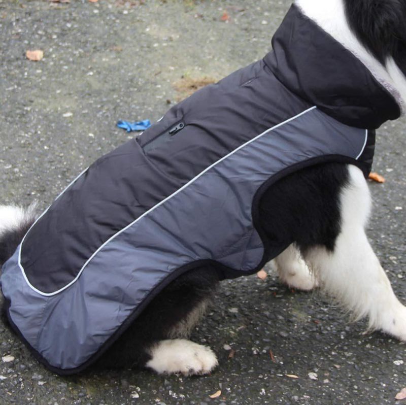 Fleece Collar Dog Coats for Small Dogs