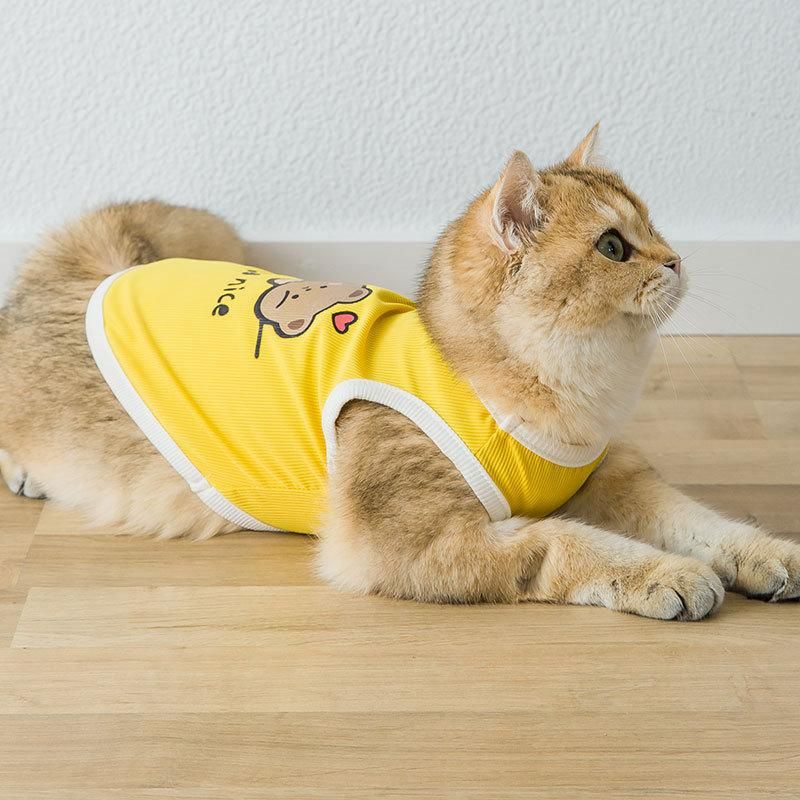 Manufacturers Direct Wholesale New Spring and Summer Cartoon Cute Dog Vest Pet Clothes