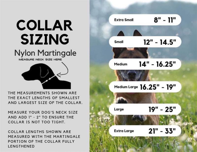Puppy Collars Anti-Escape Martingale Training Collars with Quick Release Buckle