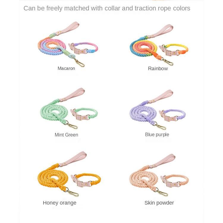 Custom Available Rainbow Colors Cotton Rope Leash with Matching Color Neutral Dog Leash