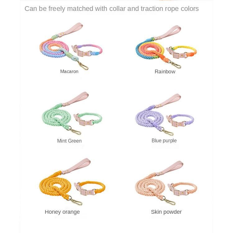 Custom Available Rainbow Colors Cotton Rope Leash with Matching Color Neutral Dog Leash