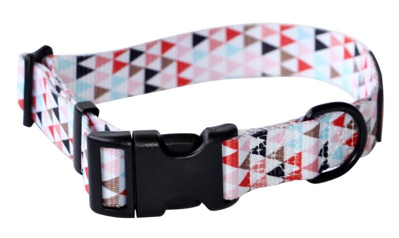 Ajustable Fashion Pattern Nylon Dog Collar and Leash