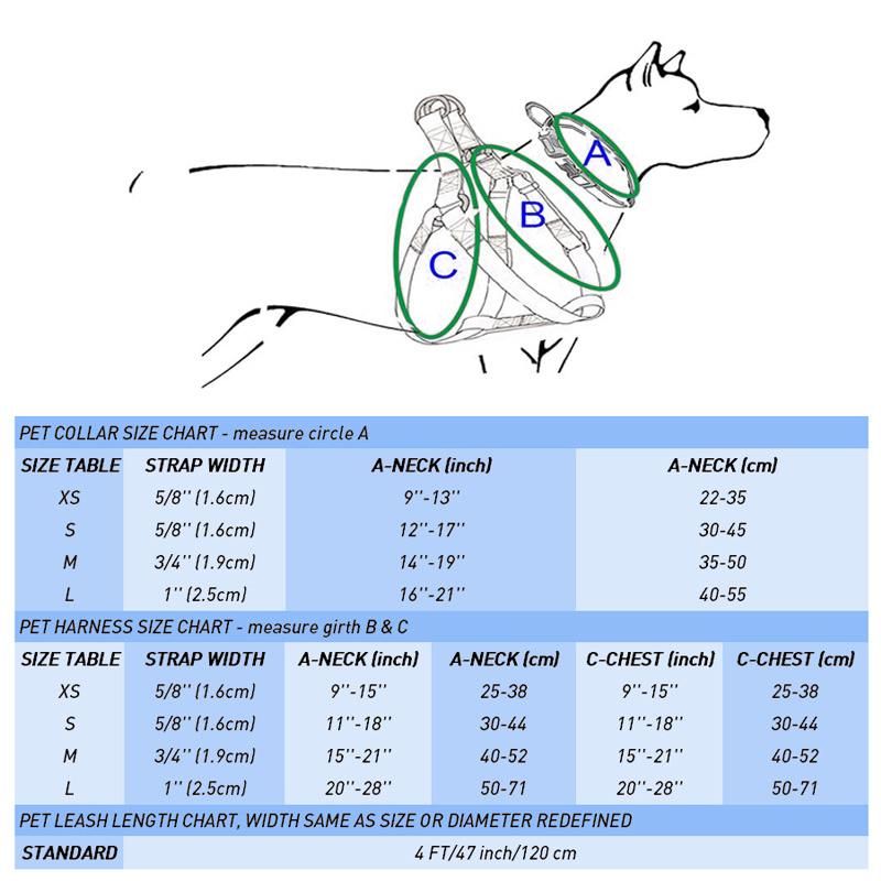 Personalized Reflective Adjustable Nylon Pet Dog Collar Leash Harness Set