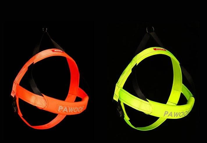 2021 Popular Nylon Reflective Dog Harness Pet Belt for Outdoor
