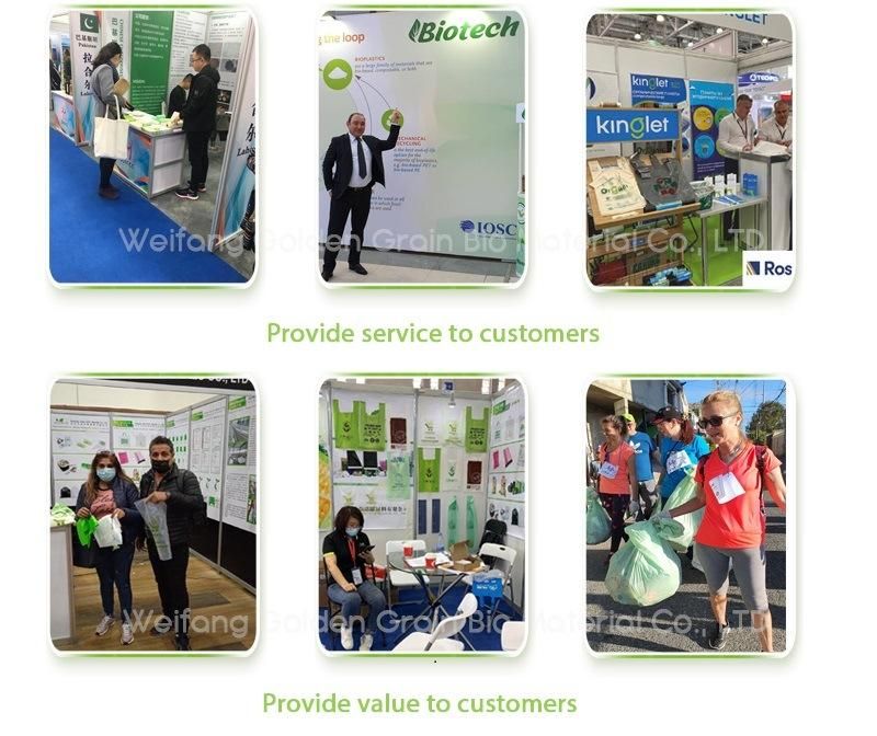 Customized Compostable Supermarket T-Shirt Bag/Biodegradable Shopping Plastic Bag/Carrier Bag/Grocery Plastic Vest Shopping Bag