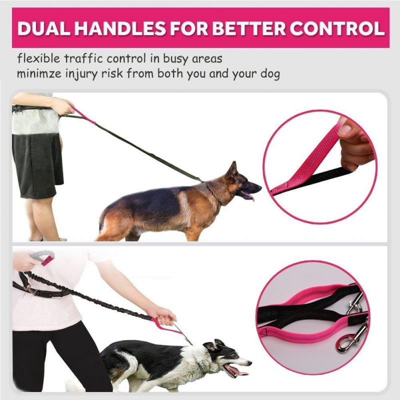 Shock Absorbing Dog Training Leash with Poop Bag Dispenser Pouch Ideal for Medium to Large Dogs