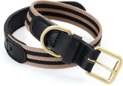 Canvas Dog Collar with Zinc Alloy Pin Buckle Ring Dog Collar