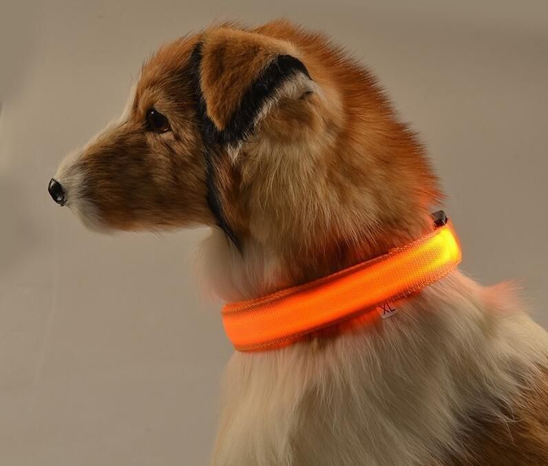 Nylon LED Pet Dog Collar Night Safety Flashing Cat Collar Pet Products