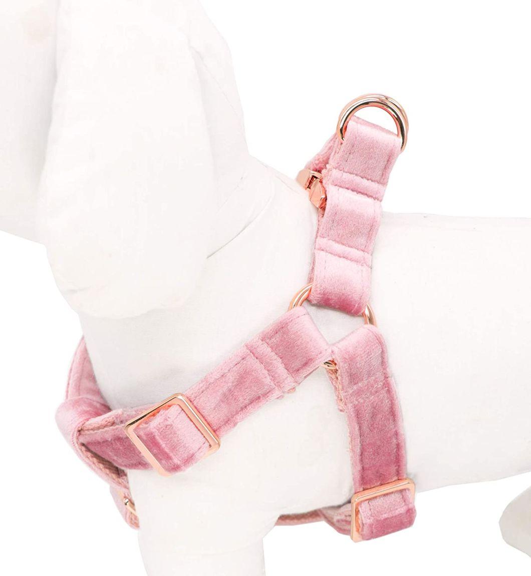 Practical and Functional Dog Halter Harness