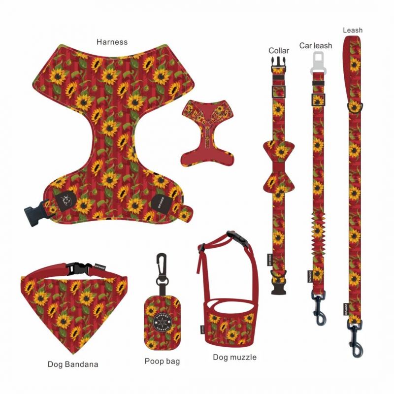 Hot Selling Factory Wholesale Custom Logo Dog Collar and Leash Harness Set