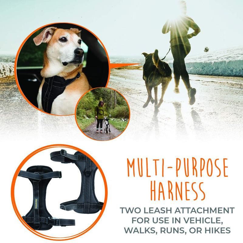 Vehicle Safety Dog Harness with Adjustable Straps and Soft Padding, Doubles as a Standard Dog Harness