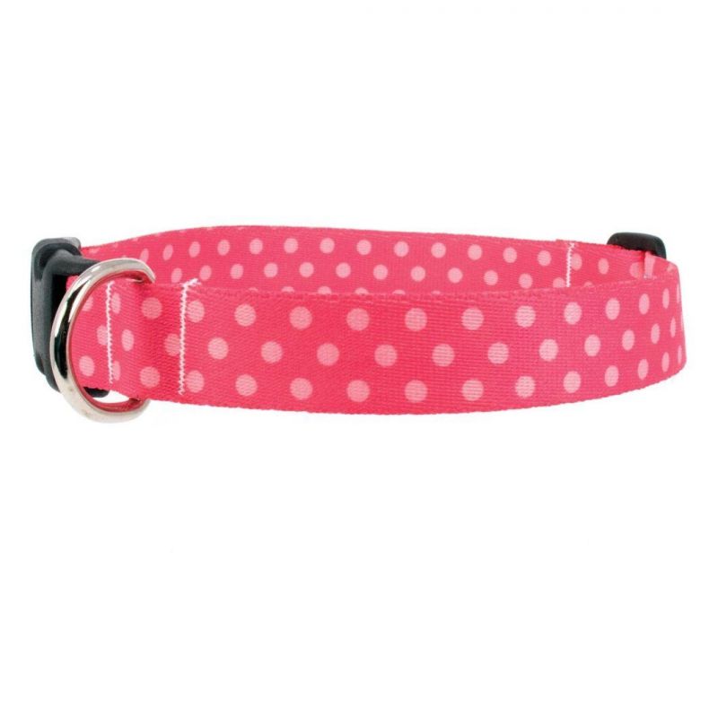 Hot Selling Colorful Hot Transfer Printed Cute Dots Dog Collar