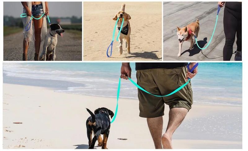 Dog Leash Waterproof PVC Strong Rope with Comfortable Padded Handle Durable Heavy Duty Pet Leash