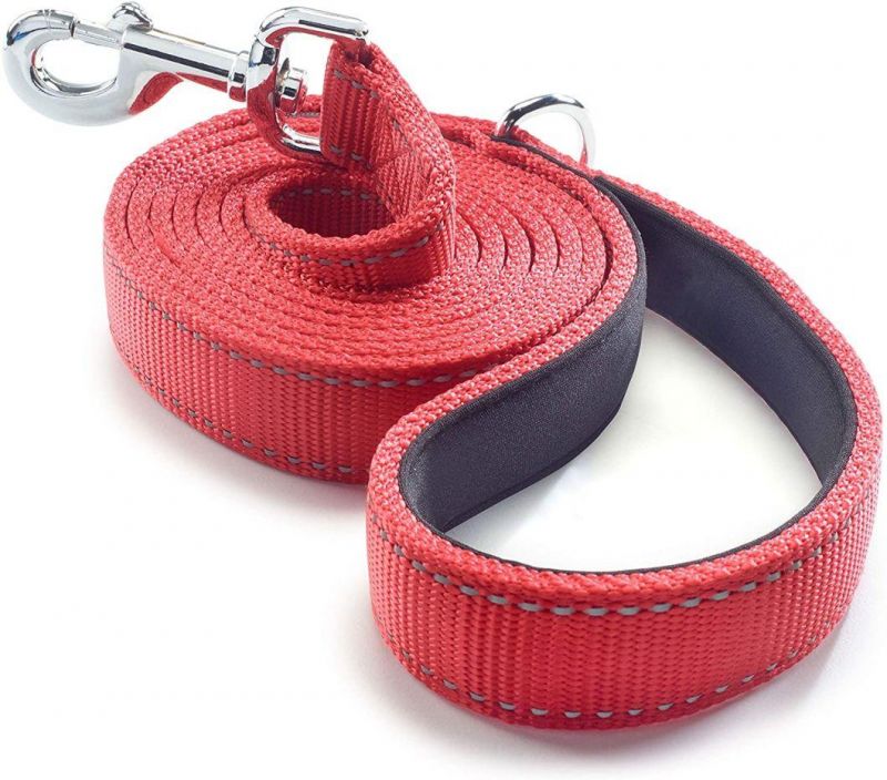 Super Strong Double Layer Nylon Dog Leash with Fast Delivery