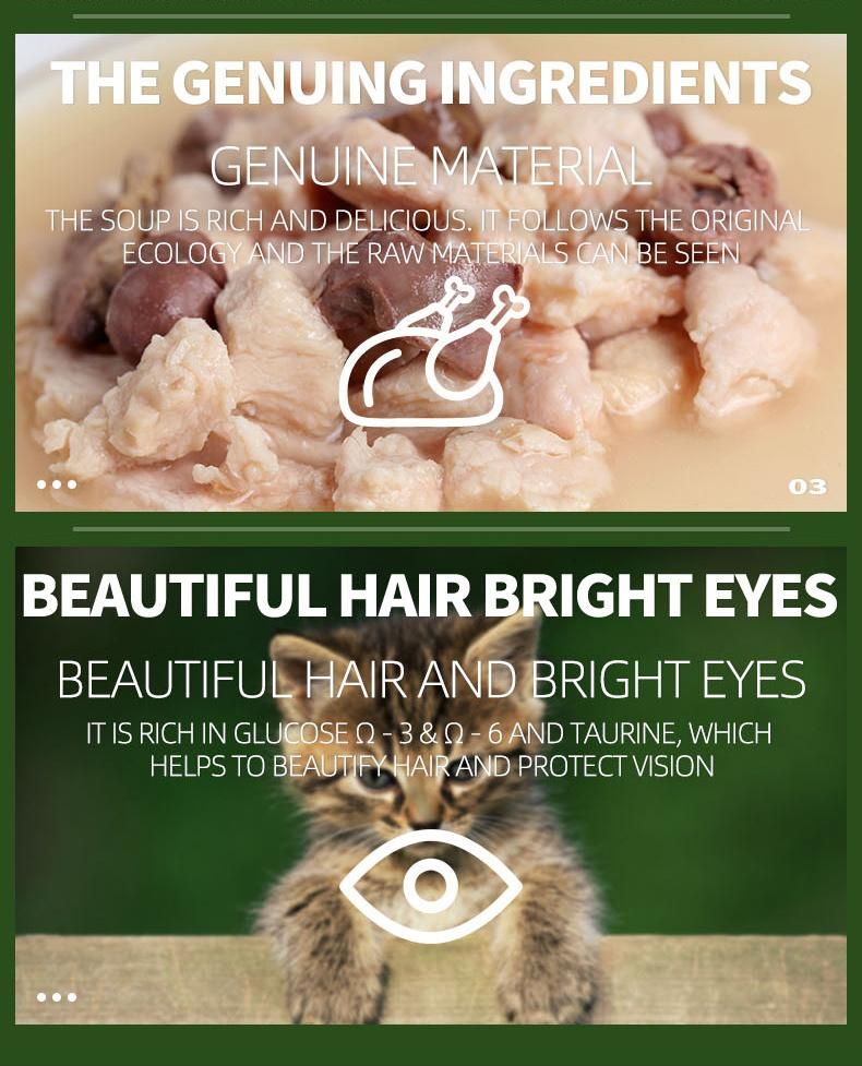 OEM Manufacturer Wholesale Price Pet Treats Food Pouch Healthiest Wet Cat Snack Food