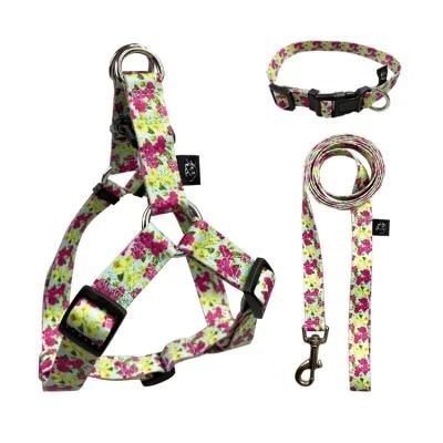 Professional Manufacturer Delicate Appearance Reflective Dog Leash Harness