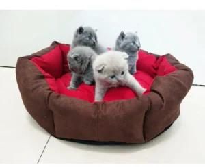 Dog Bed Soft Cotton Customized Size Dog Kennel