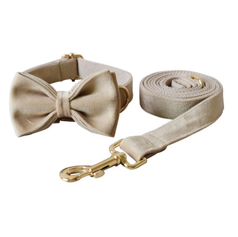 Comfort Soft Velvet Elegant Dog Collar Leash Bow Tie