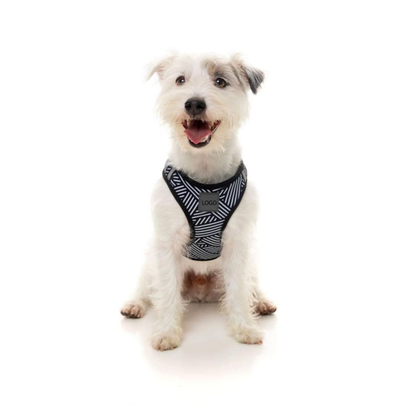 Free Design Dog Harness Fashion Breathable Printing Dog Harness Dog Step in Harness