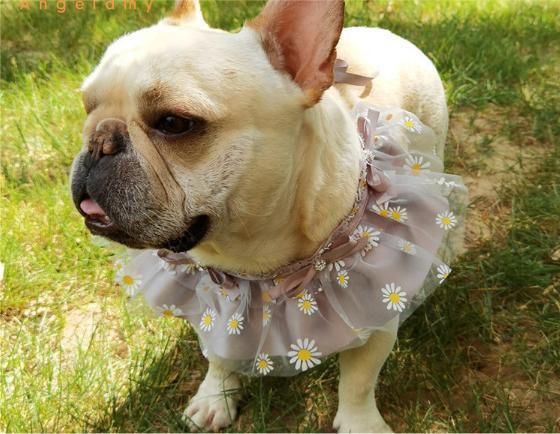 Supplier Wholesale Summer Birthday Daisy Printed Flower Colorful Gauze Custom Dog Bandana with Logo
