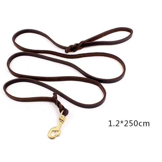 Hot Sale Soft and Sturdy Leather Premium Pet Leash