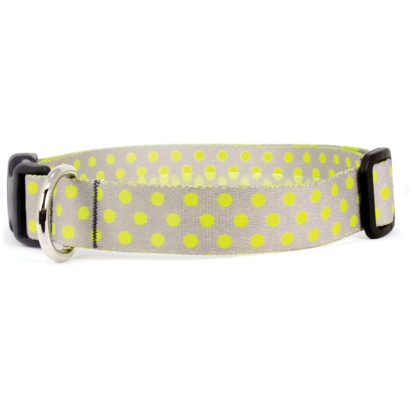 Hot Selling Colorful Hot Transfer Printed Cute Dots Dog Collar