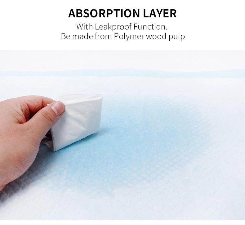 High Quality Fluff Pulp Non-Woven Absorbent Paper Splash Proof Leak Proof Dog Pads Puppy Training Disposable