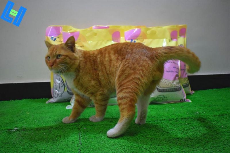 Cat Cleaning Product: Lavender Scent Tofu Cat Litter