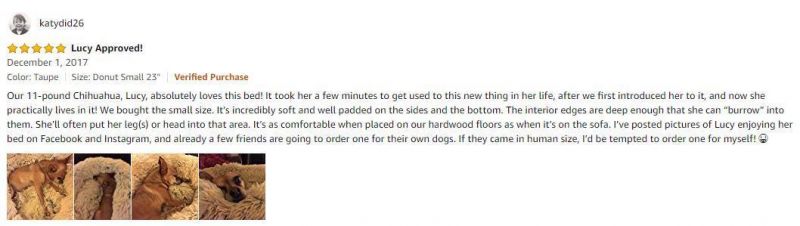 High-Density Mattress Dog Couch Elevated Dog Bed