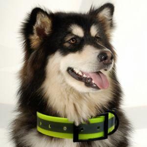 Wholesale High Quality Dog Training Collar Product