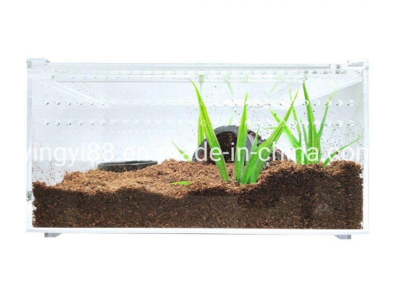 Factory Made Acrylic Snake Cage, Tortoise Cage