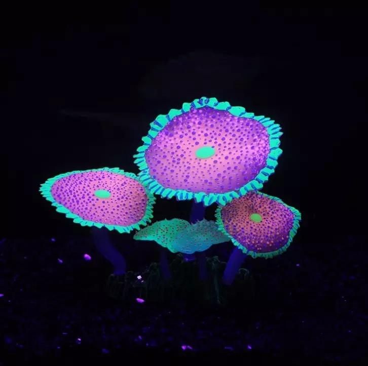 Pretty Artificial Coral Soft Silicone Coral Aquarium Fish Tank Decoration
