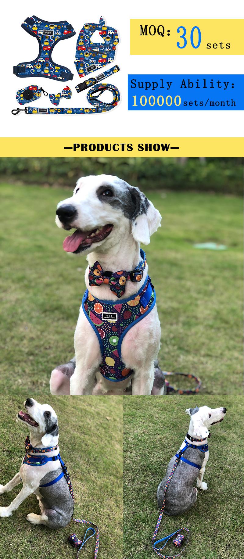 2021 Adjustable Dog Accessories Sublimation Dog Harness Set Custom Personalized Pet Supplies Dog Chest Harness Collar and Leash