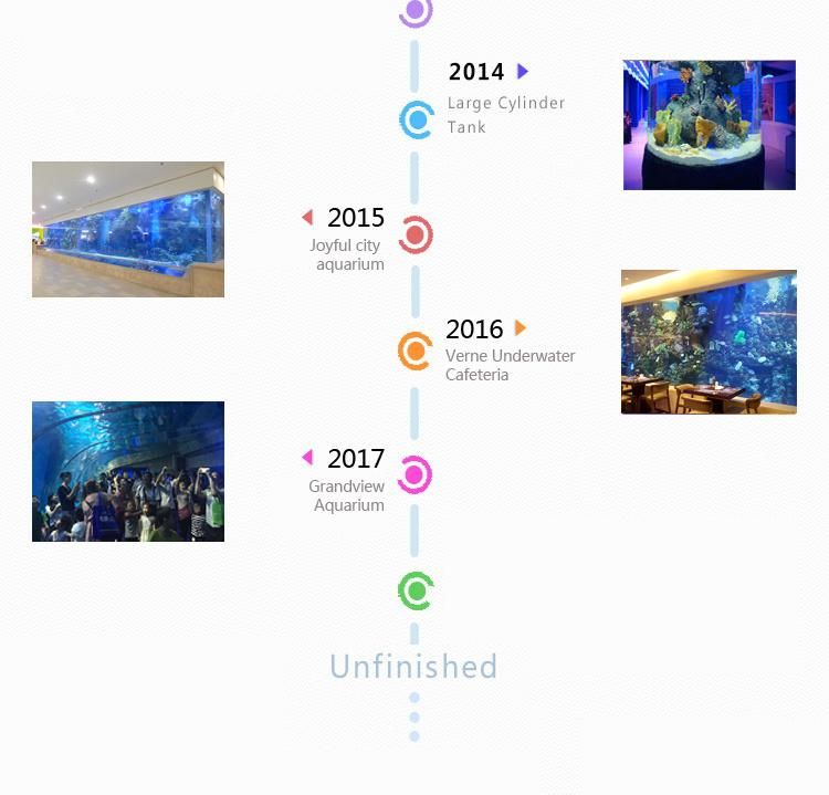 World Guinness Records for Acrylic Panel Aquarium Project