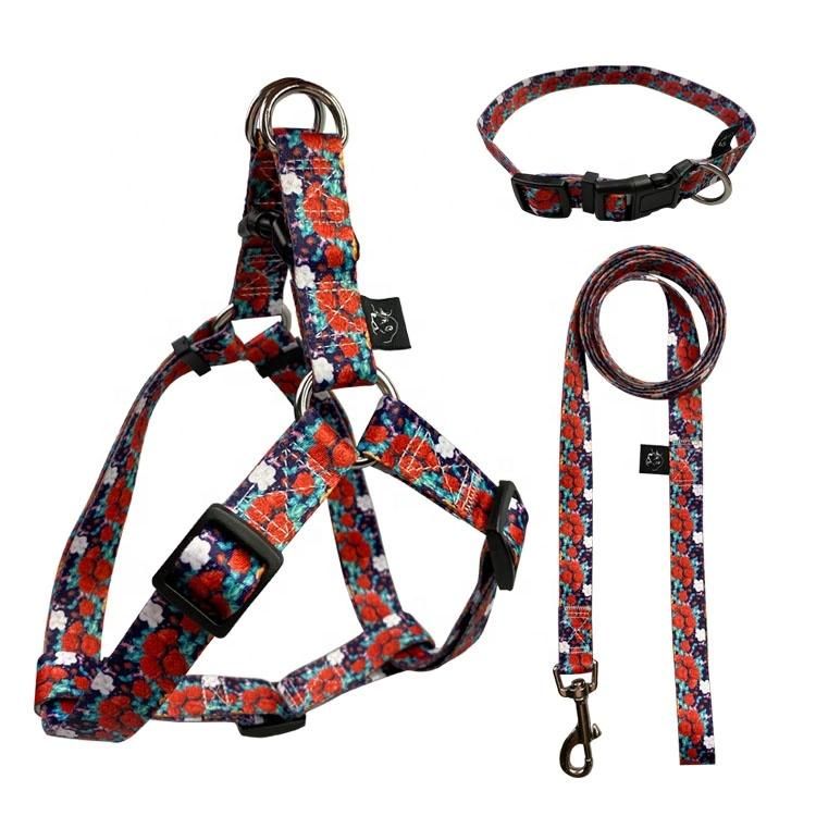 Luxury Pet Dog Vest Collars Harness Easy Walking Dog Harness with Leash Collar