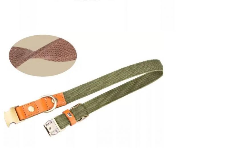 Sturdy Dog Collar with Leather Combination