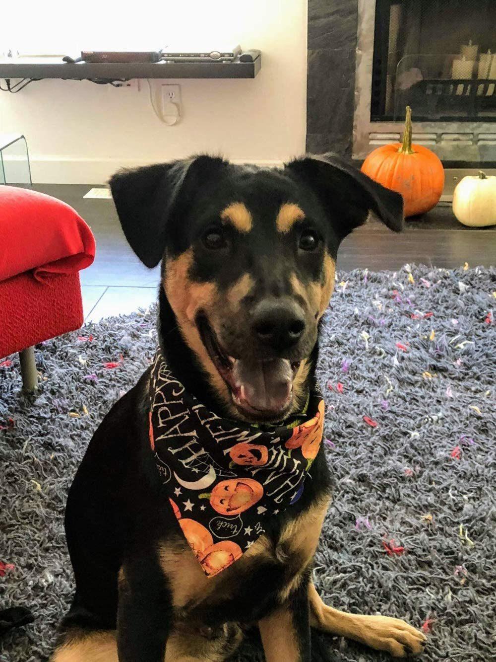 Halloween Dog Bandana Pumpkin Reversible Triangle Bibs Scarf Accessories
