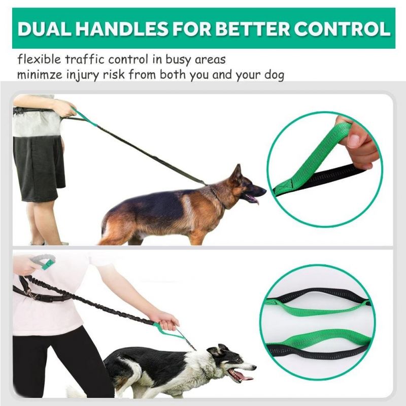 Dual-Handle Reflective Bungee Dog Leash