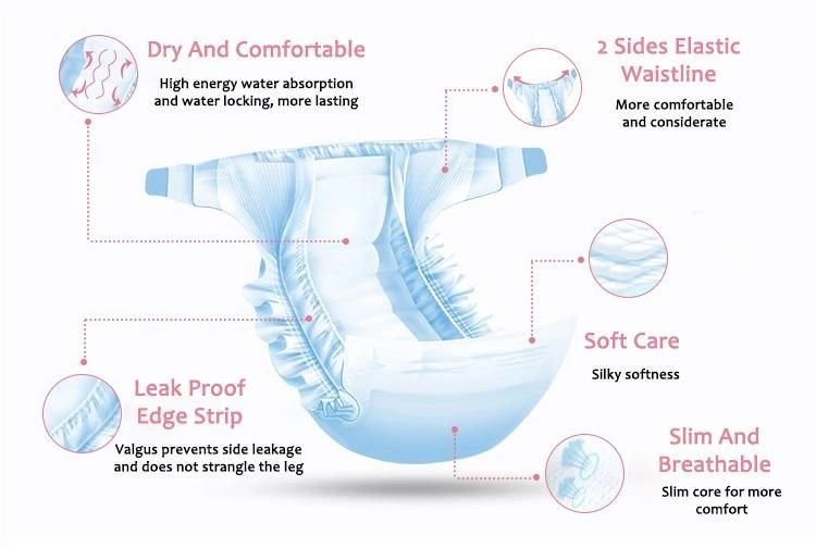 Reusable Waterproof Training Disposable Diapers for Pets