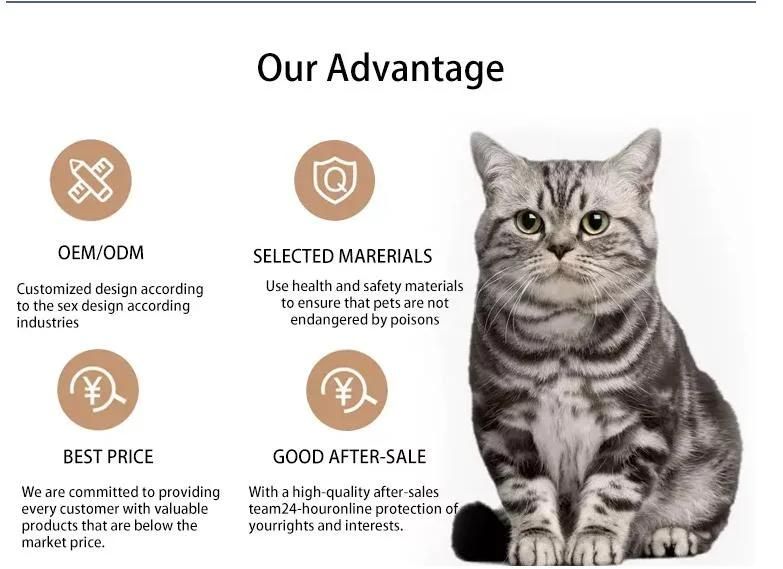 Manufacturer Wholesale Broken Clumping Quickly Odor-Killer Anion Bentonite Box Cat Litter for Sale