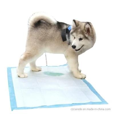 Disposable Doggy Pad Pet Training and Puppy Underpad for Pet