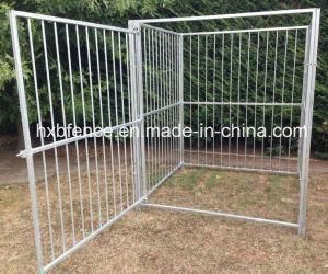 Galvanized Welded Wire Mesh Outdoor Dog Kennel