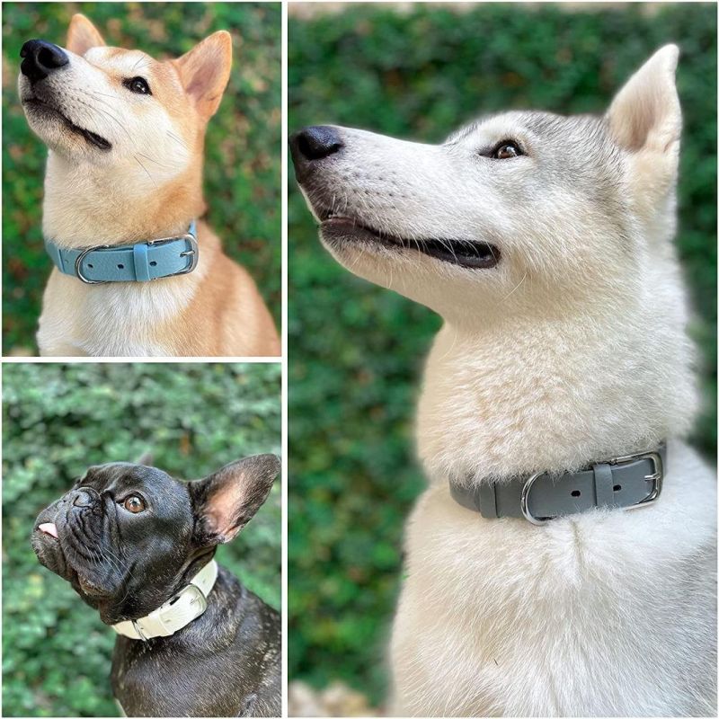 Waterproof & Odor Proof Dog Collar with Multiple Colors Option